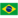 Brazil flag